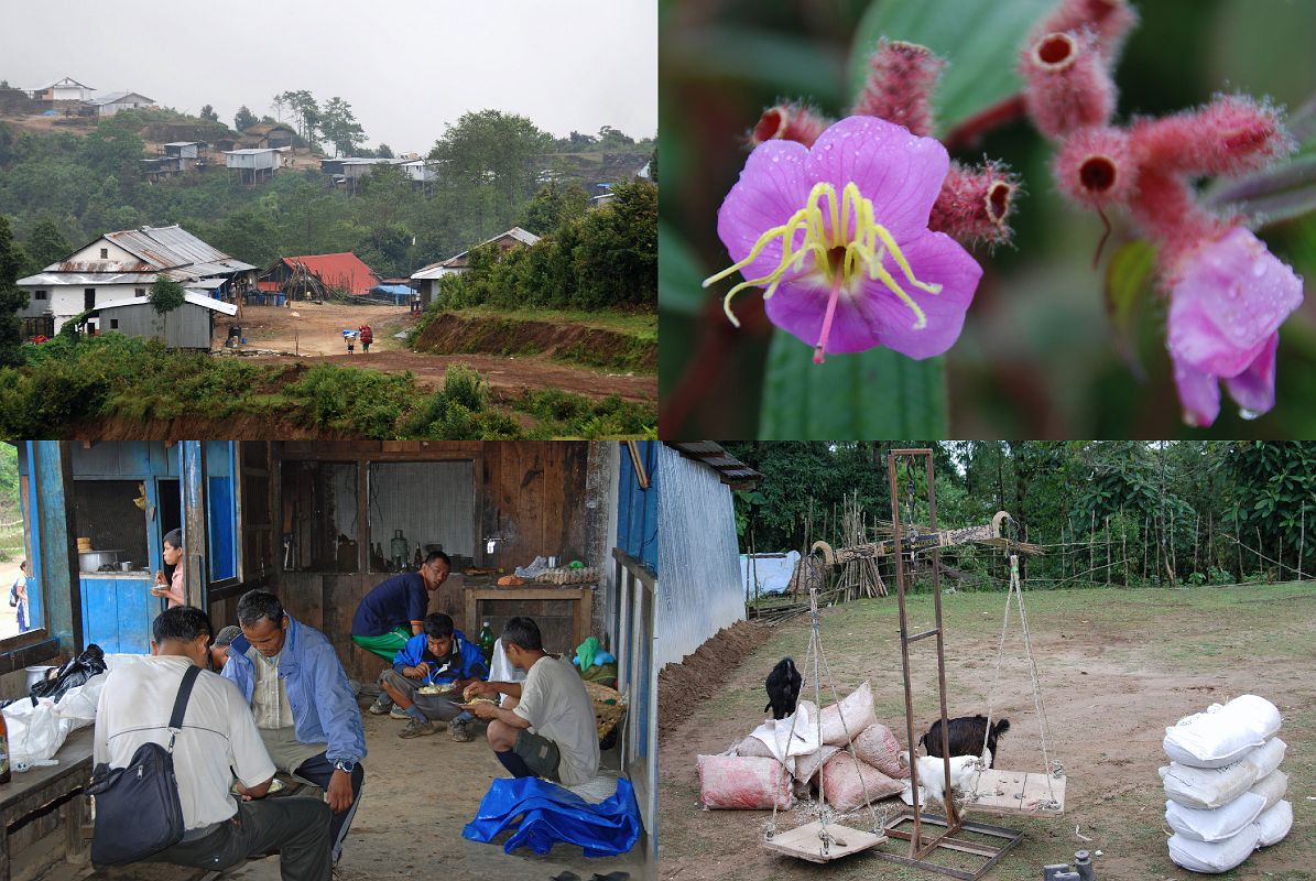 2 7 Lunch Stop In Chichilla, Wild Orchids, Weight Scale